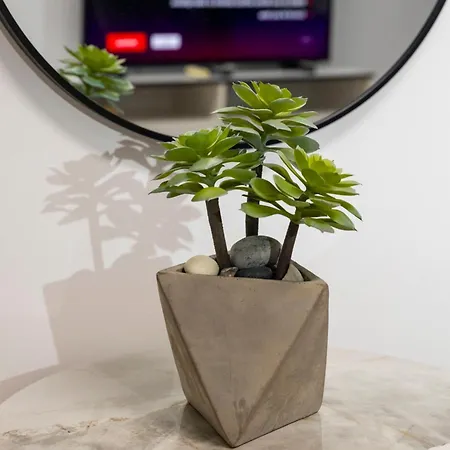 Apartmán Palm By Trulycyprus