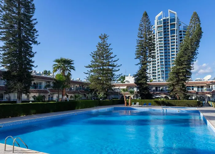 Daire Palm By Trulycyprus