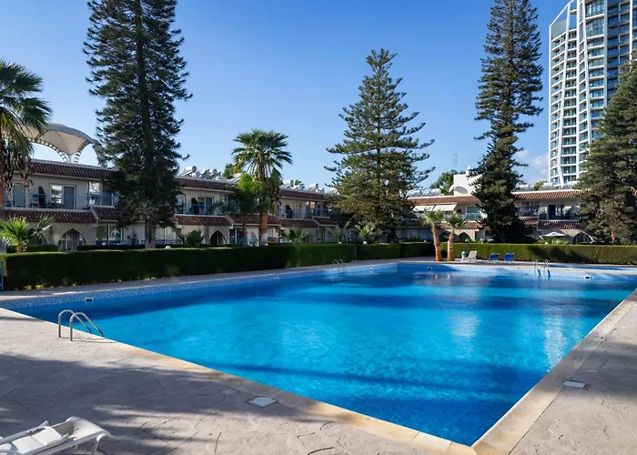 Palm By Trulycyprus Daire