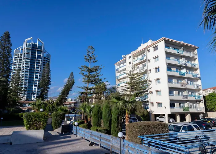 Palm By Trulycyprus Daire *