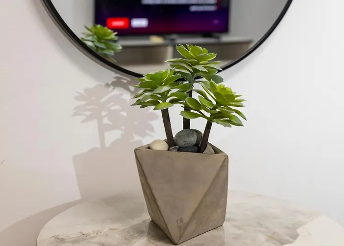 Daire Palm By Trulycyprus