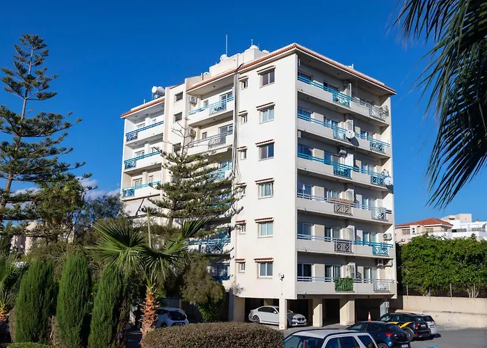 Palm By Trulycyprus Daire